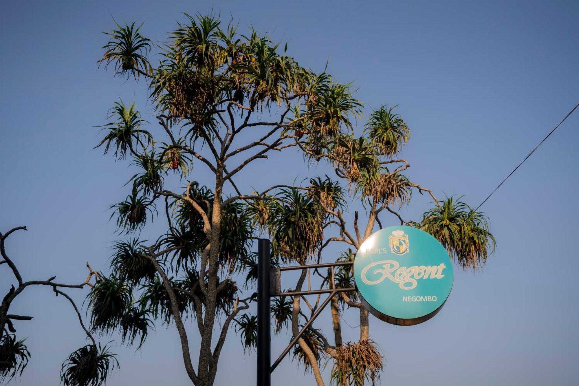 Earl'S Regent Negombo Hotel Luaran gambar